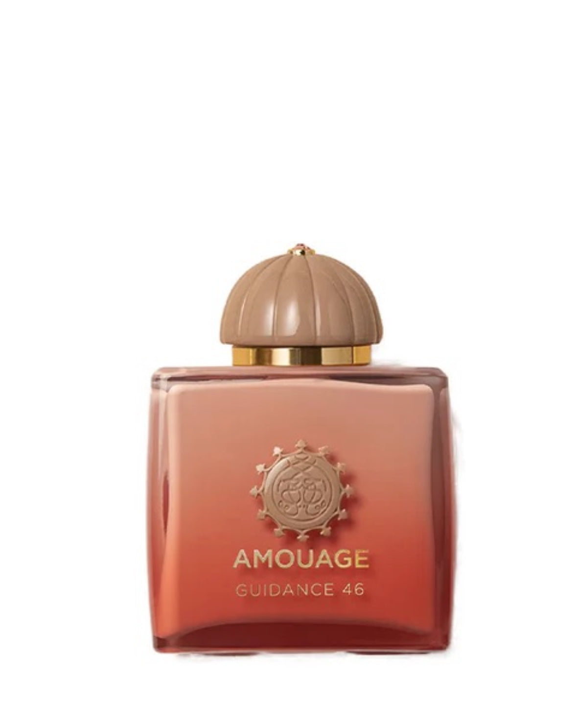 Amouage Guidance