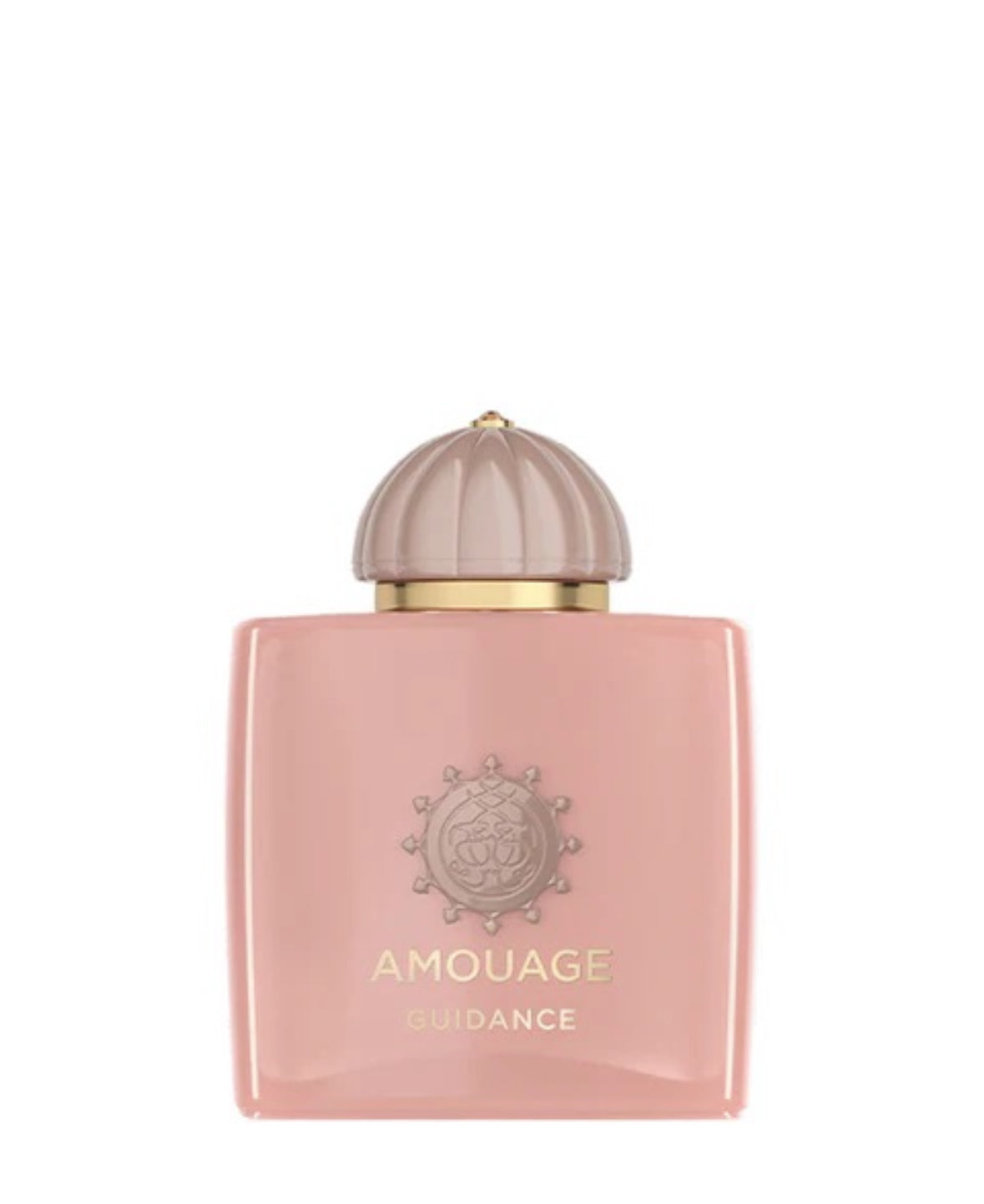 Amouage Guidance